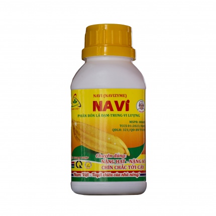 NAVI - NẶNG HẠT - NẶNG KÝ